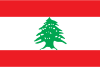 Lebanon dumpswrap